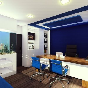 Commercial Office Spaces