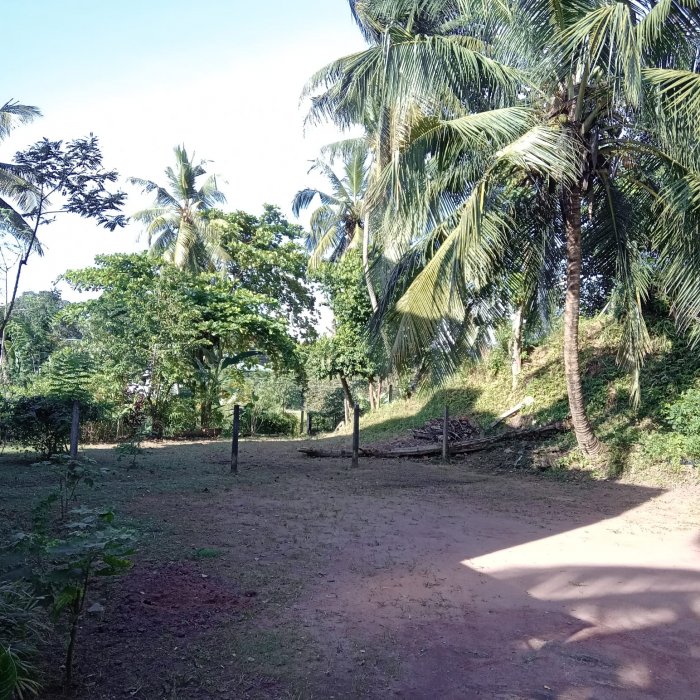 Land Thalawathugoda 
