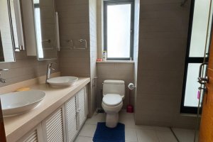 Havelock City. Davidson Tower 